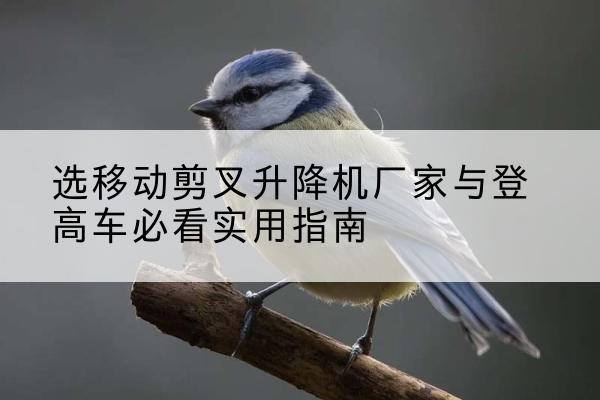 北辰区电动升降机厂家-选移动剪叉升降机厂家与登高车必看实用指南