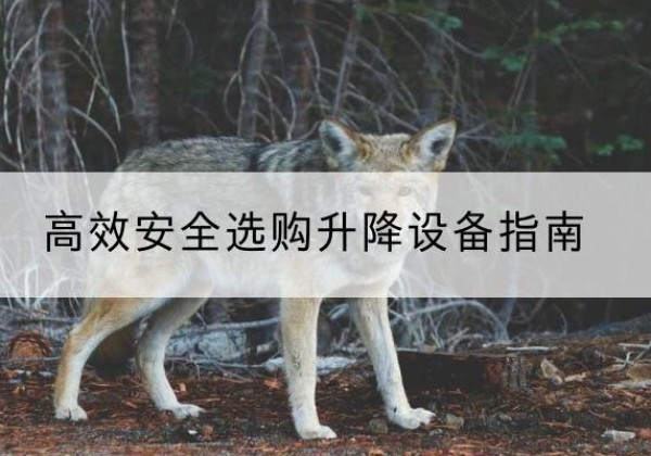 北辰区升降货梯厂家推荐-*安全选购升降设备指南